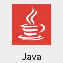 Java
